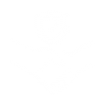 icono-seguridad icono-seguridad